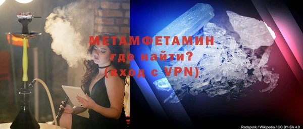 сатива Новодвинск