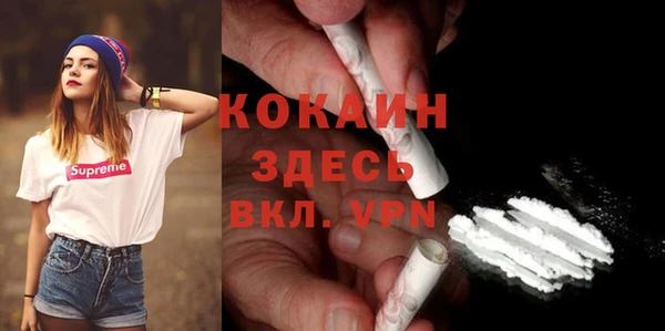 спиды Новозыбков