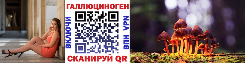 Псилоцибиновые грибы Psilocybine cubensis  даркнет сайт  Пласт 
